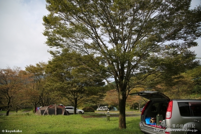 雨のち晴れのキャンプ@snow peak 奥日田 -前編-_d0140234_19543625.jpg