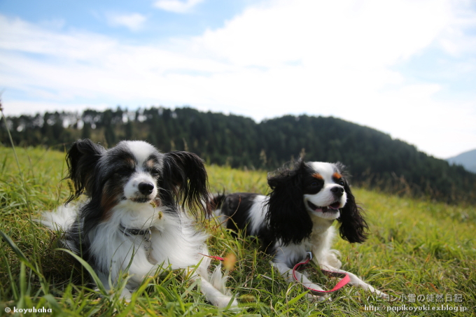 雨のち晴れのキャンプ@snow peak 奥日田 -前編-_d0140234_20132510.jpg