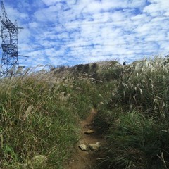 c0077338_19123948.jpg