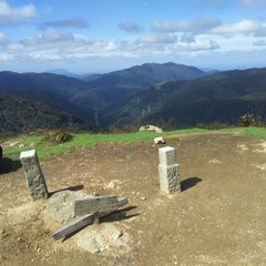 c0077338_19125492.jpg