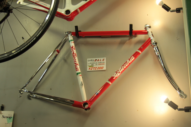 BOTTECCHIA COLUMBUS SPIRIT　入荷！!_b0370040_18202004.jpg