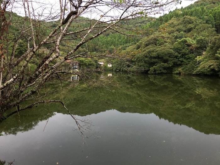 c0281841_13364699.jpg