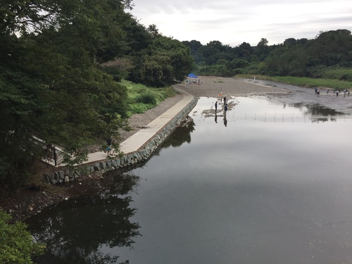 高麗川沿いの遊歩道_c0331145_17321519.jpg