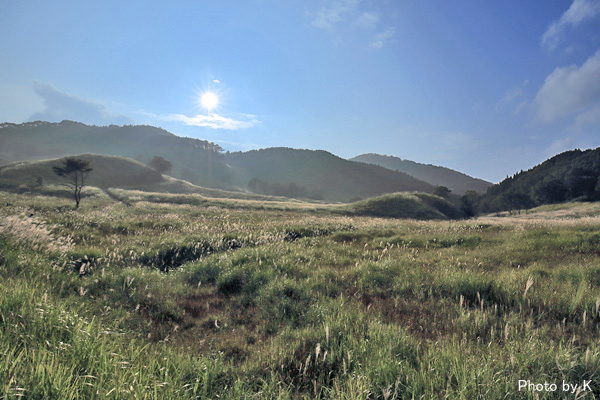 c0127748_23102692.jpg
