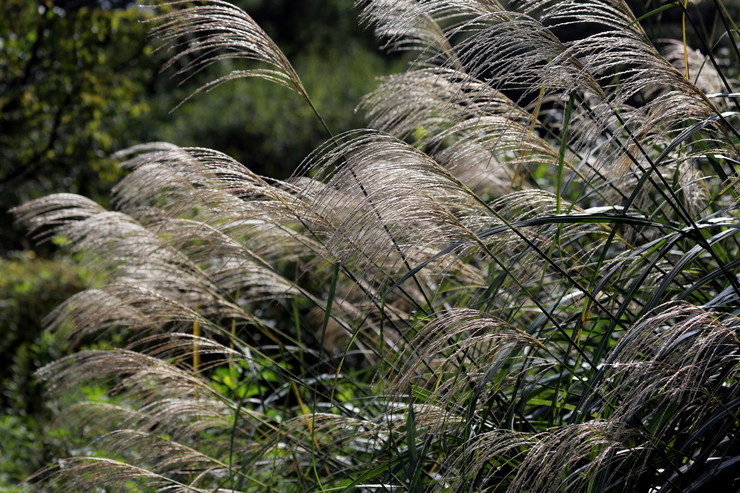 a0120949_7245336.jpg