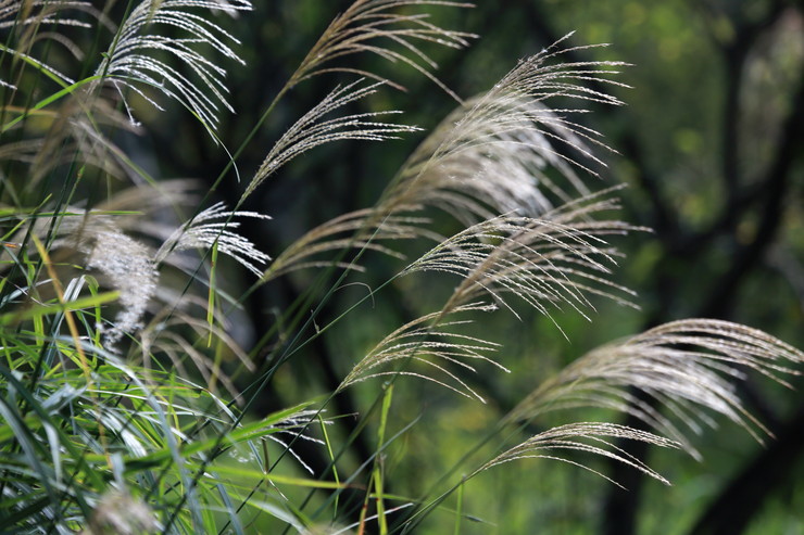 a0120949_726019.jpg