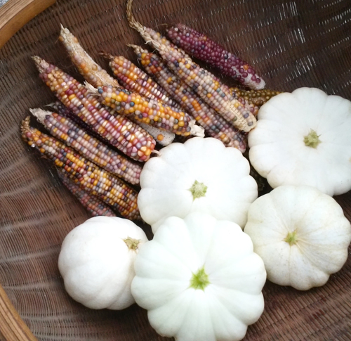 本日、10月10日(月)体育の日はお休みします。_a0017350_06290379.jpg