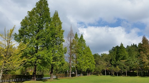 f0343750_22351213.jpg