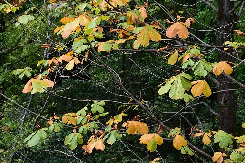 f0343750_22361678.jpg