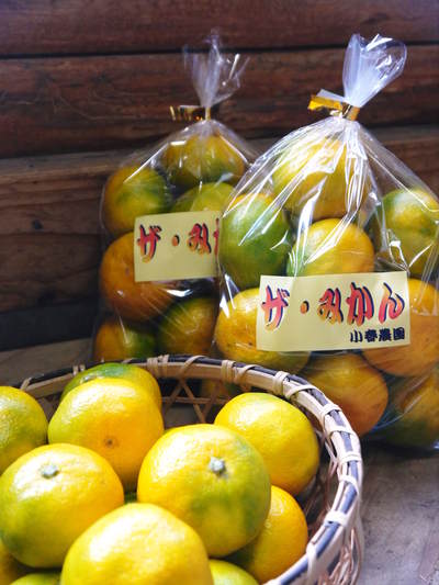 ザ・みかん 極早生みかん「日南」完売御礼!早生みかん「興津」の予約受付はまもなくスタート!_a0254656_18212414.jpg