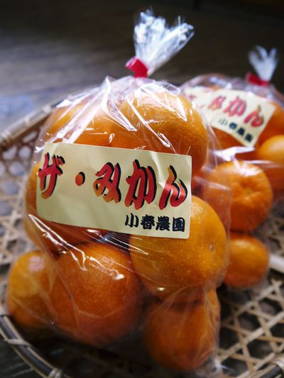 ザ・みかん 令和3年度の出荷は12月上旬から!今年も甘く濃い味に仕上げます!_a0254656_1943195.jpg