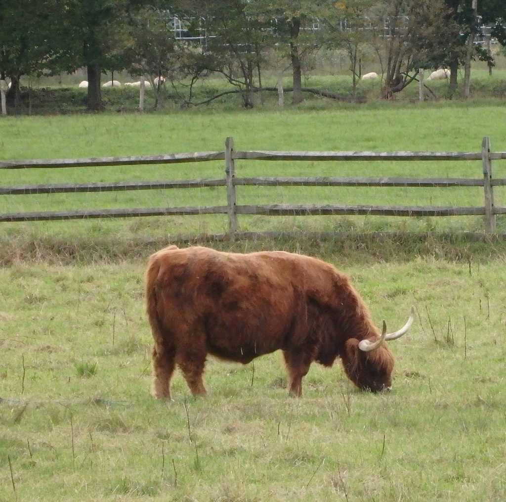 a0193457_2024453.jpg