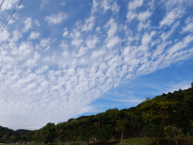 ’16,10,10(月)再び田舎道へ~!_f0060461_14193262.jpg