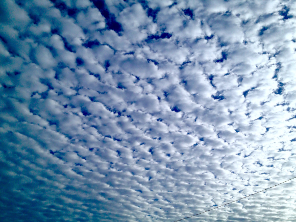 c0260772_10443387.jpg
