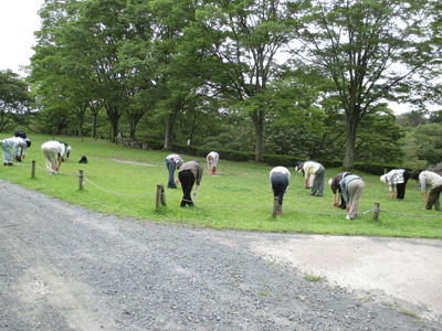 f0140773_947244.gif
