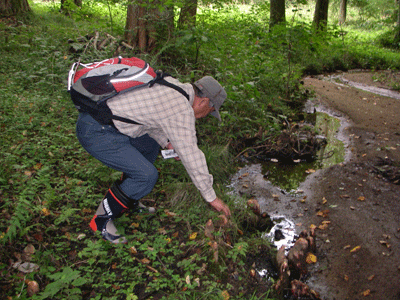 f0140773_9495039.gif