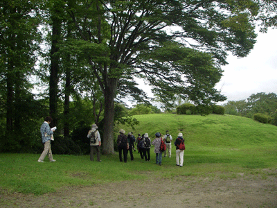 f0140773_9514841.gif