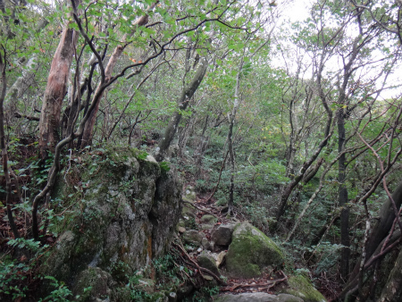 雷山～井原山縦走（糸島市）_d0182075_03102680.jpg