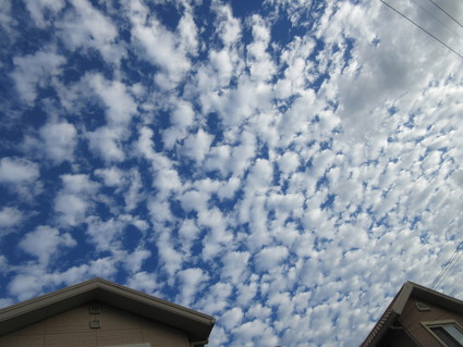 f0053885_194636.jpg