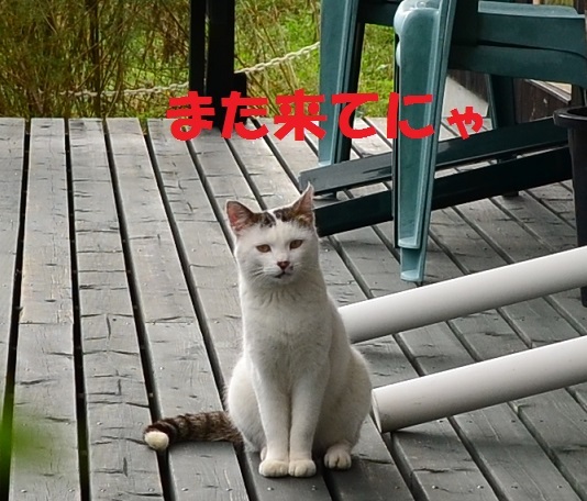 賑やかな連休&ベルグさん^^;_a0211886_23111902.jpg