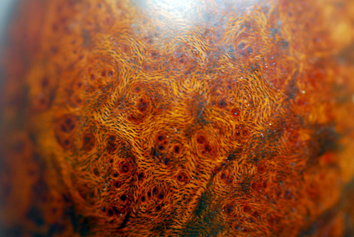 d0085887_05474095.jpg