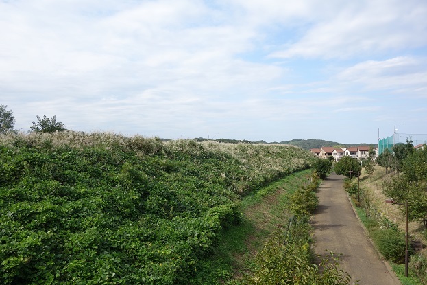 d0183387_23355122.jpg