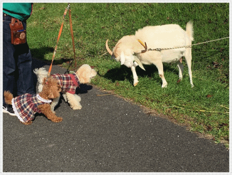 b0175688_22324789.gif