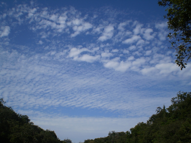 a0135990_2130406.jpg