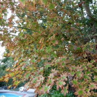 f0121591_15590888.jpg