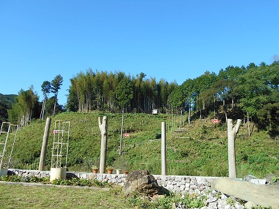 f0308898_18514553.jpg