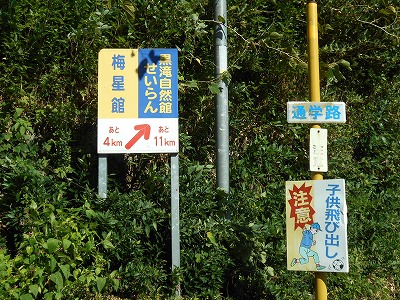 f0308898_19192759.jpg