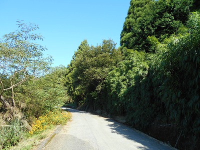 f0308898_19193963.jpg