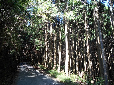 f0308898_19205019.jpg