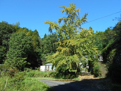f0308898_19242991.jpg