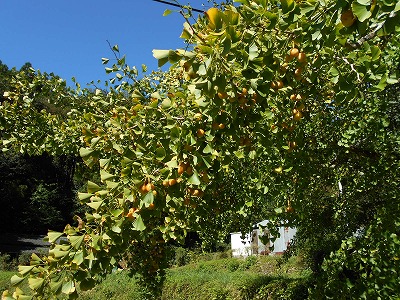 f0308898_19243743.jpg
