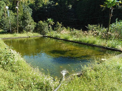 f0308898_1926056.jpg