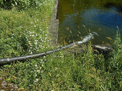 f0308898_19315153.jpg