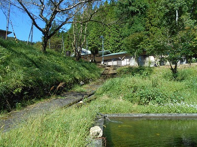 f0308898_1932894.jpg