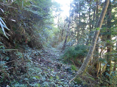f0308898_19351582.jpg