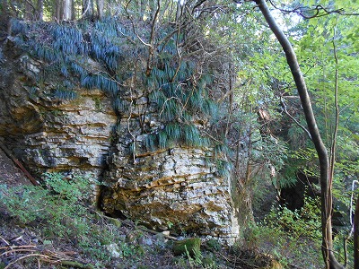 f0308898_19353041.jpg