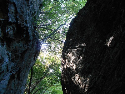 f0308898_19373882.jpg