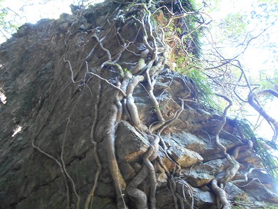 f0308898_19375520.jpg