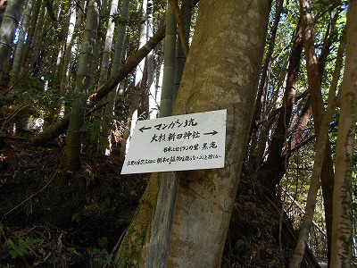 f0308898_19402152.jpg