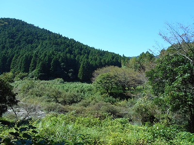 f0308898_1945261.jpg