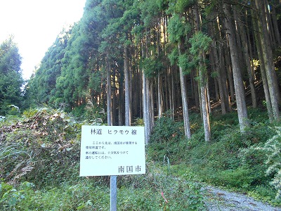 f0308898_19453980.jpg
