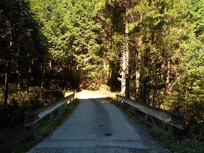 f0308898_19455815.jpg