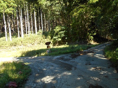f0308898_19491232.jpg