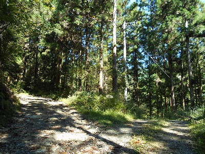 f0308898_19493747.jpg