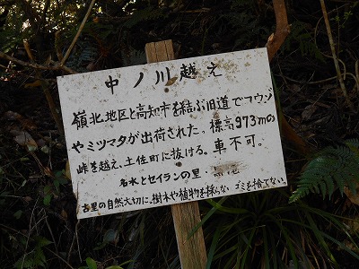 f0308898_195028100.jpg