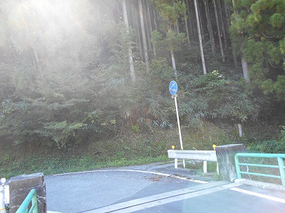 f0308898_19534460.jpg